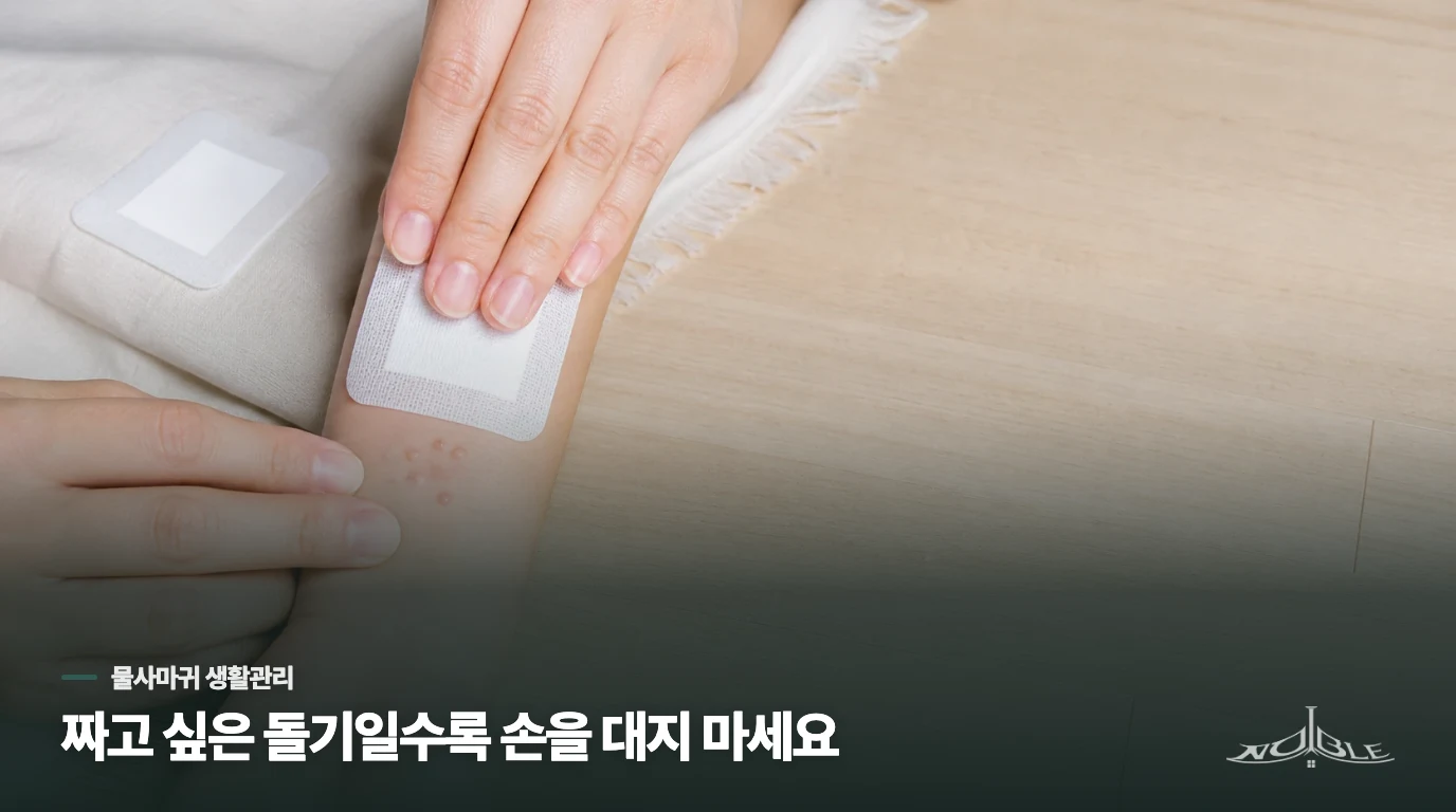 작고 둥근 돌기라서 짜고 싶어집니다