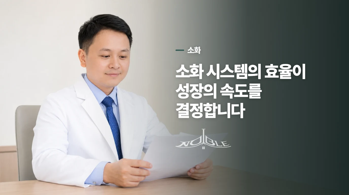 소화 시스템의 효율이 성장의 속도를 결정합니다