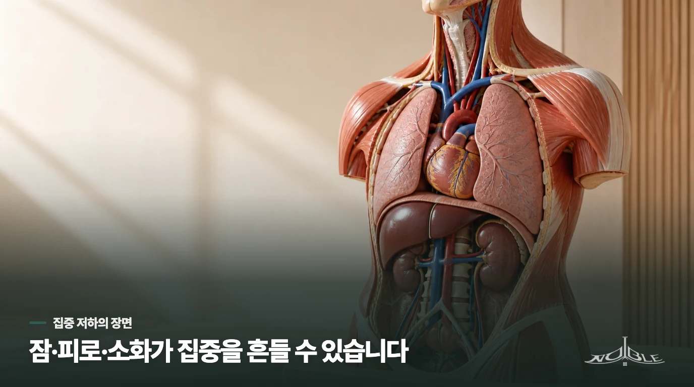 시험 직전 집중력이 떨어지는 이유는 하나가 아닙니다