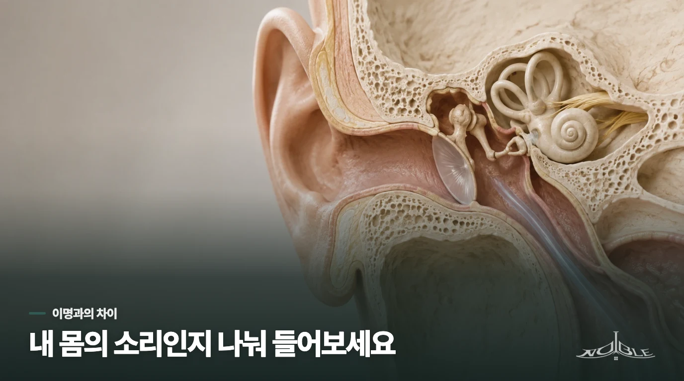 이명과 자가강청은 무엇이 다를까요?