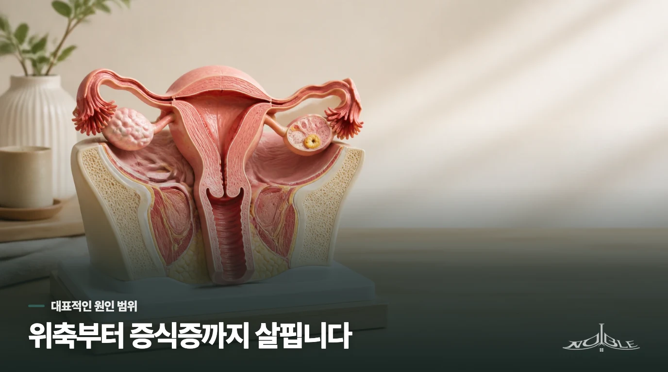 폐경 후 출혈에서 어떤 원인을 살피나요?