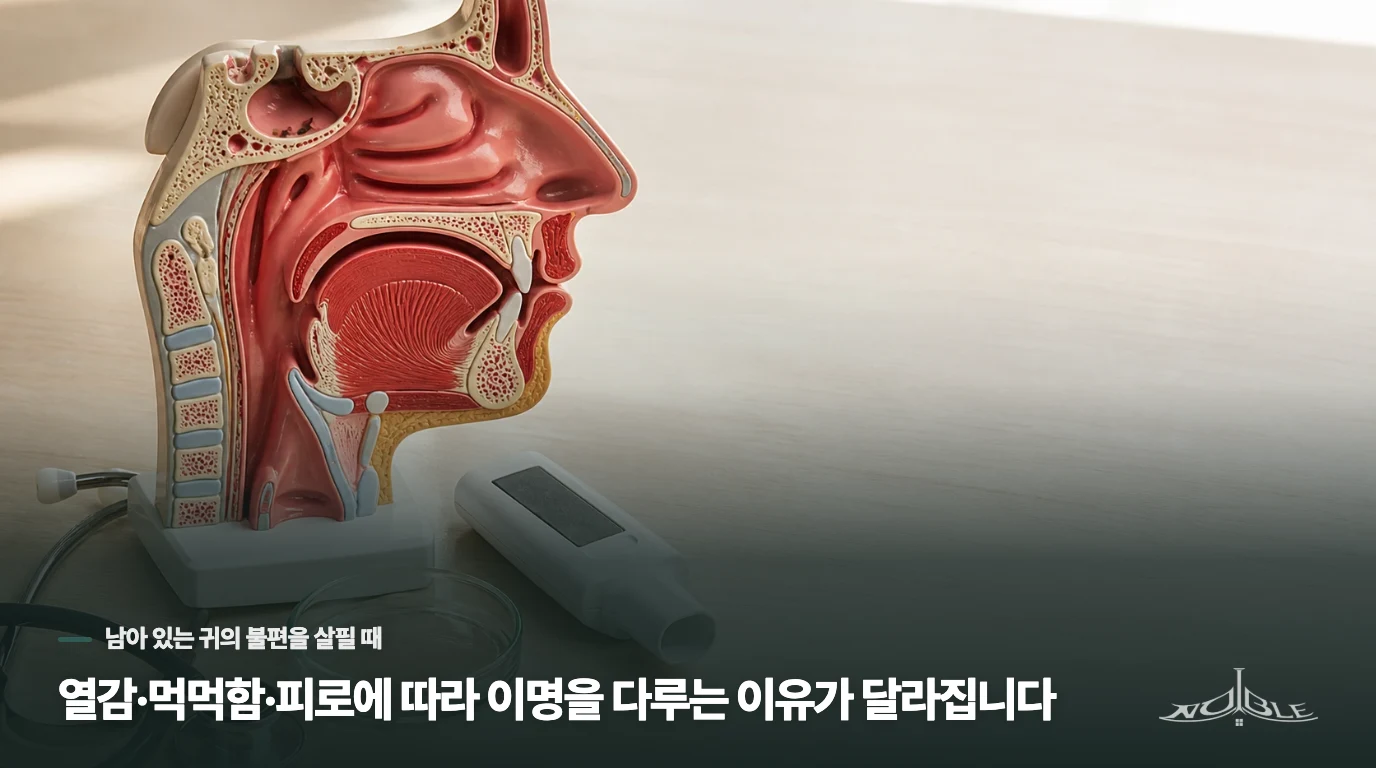열감·먹먹함·피로에 따라 이명을 다루는 이유가 달라집니다