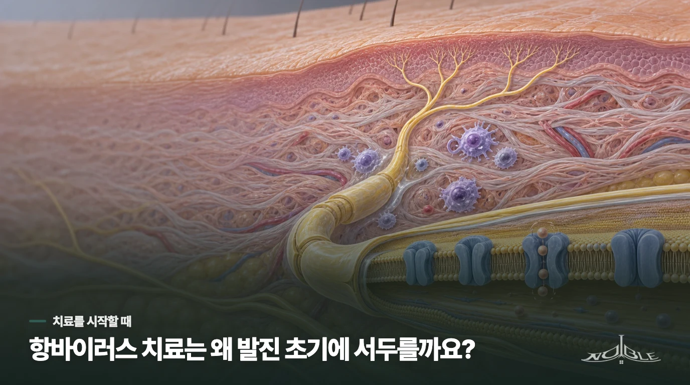 항바이러스 치료는 왜 발진 초기에 서두를까요?