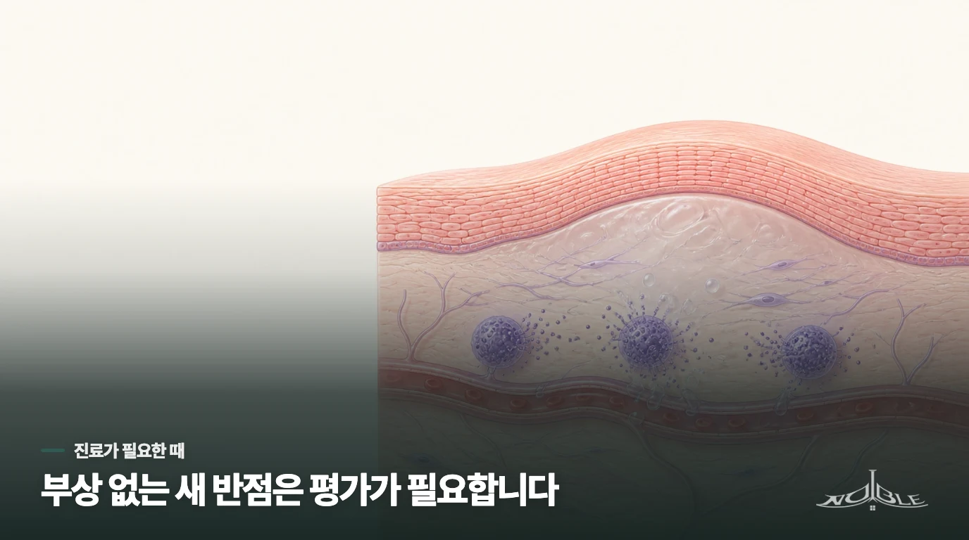 부딪힌 적 없는 반점은 원인 평가가 필요합니다