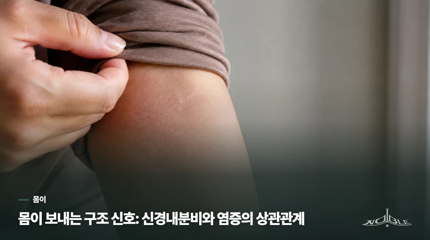 몸이 보내는 구조 신호: 신경내분비와 염증의 상관관계