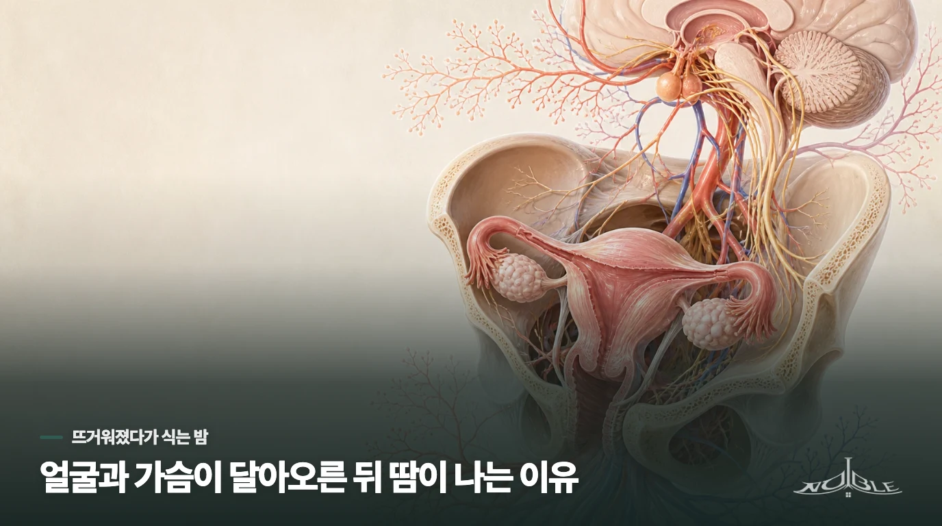 얼굴과 가슴이 달아오른 뒤 땀이 나는 이유