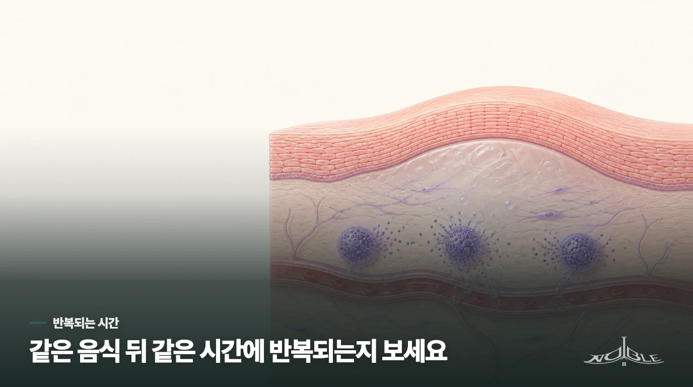 음식이 원인에 가까운 두드러기는 반복되는 시간이 있습니다