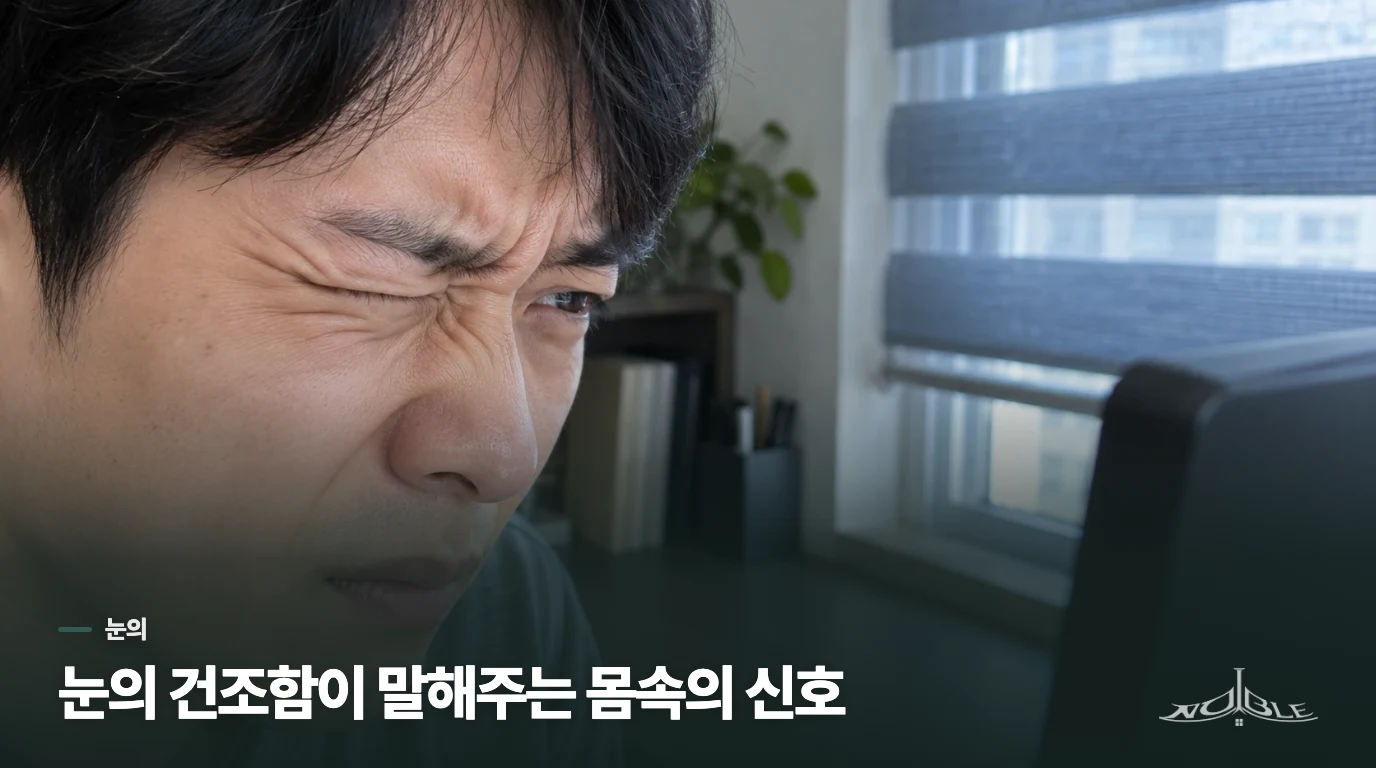 눈의 건조함이 말해주는 몸속의 신호