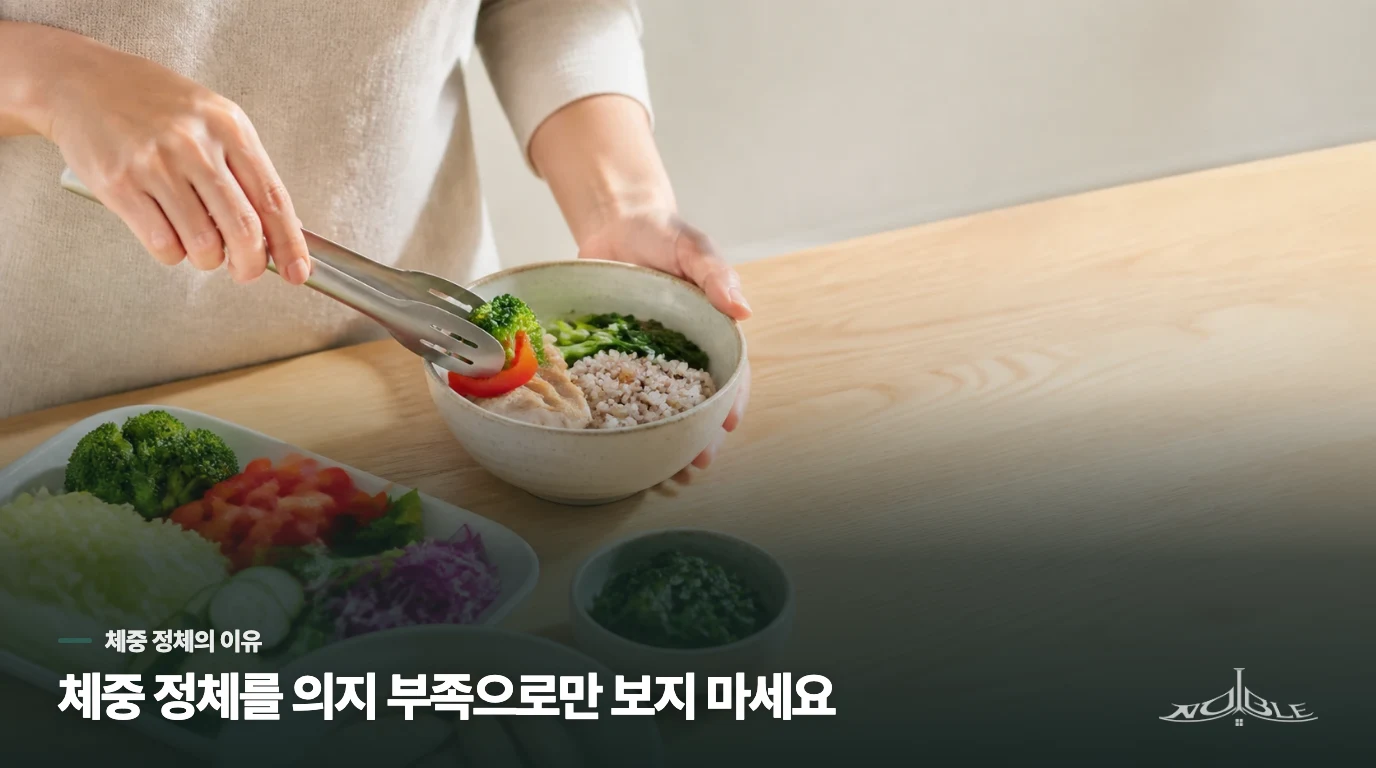 고도비만에서 체중이 잘 줄지 않는 이유는 의지만으로 설명되지 않습니다