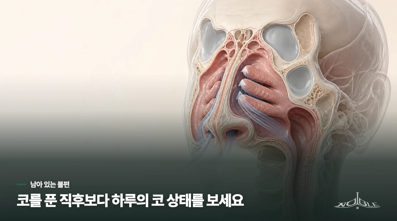 코를 풀고 나면 뚫리는데, 왜 냄새는 잘 안 맡아질까요?