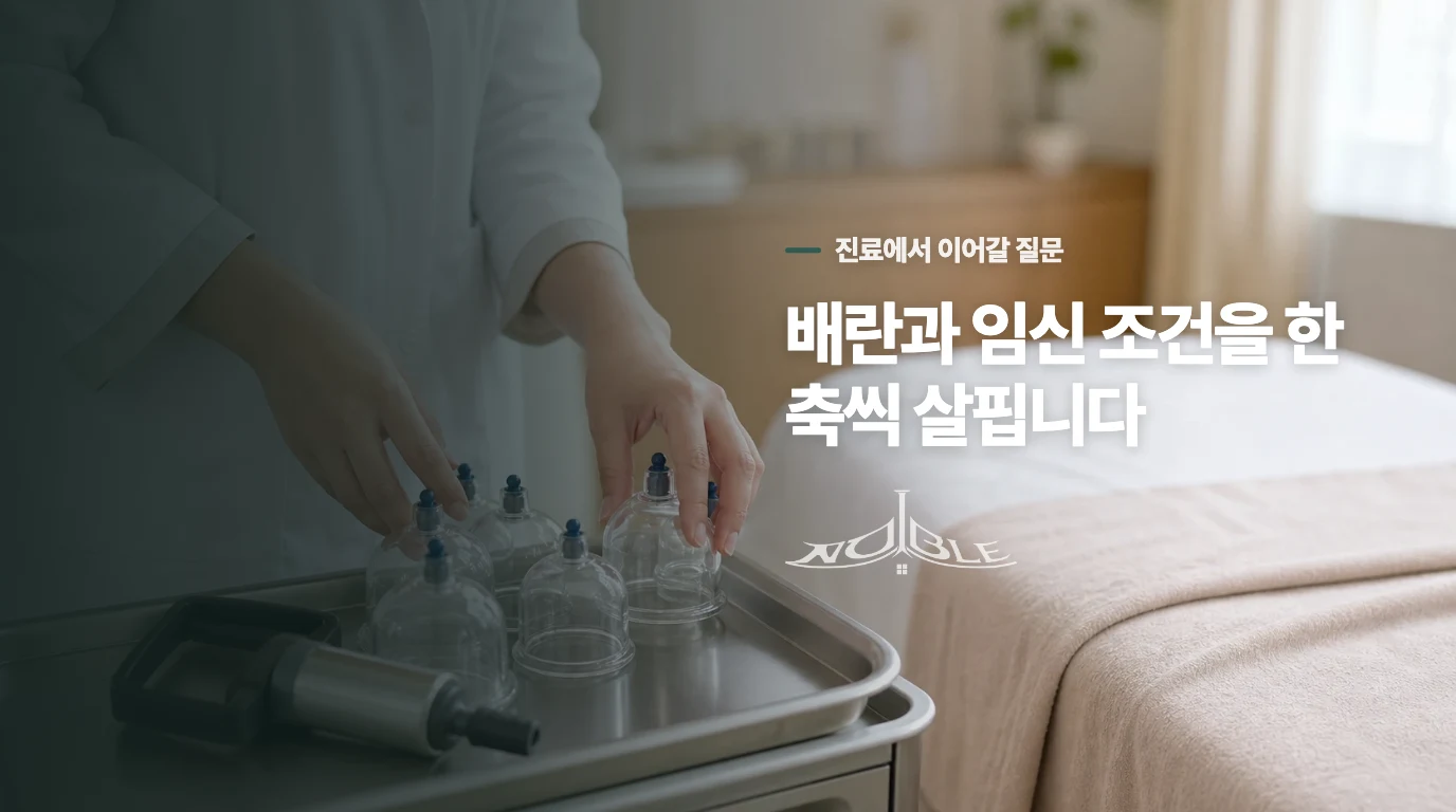 불임 진료는 배란 외의 조건까지 이어서 살핍니다