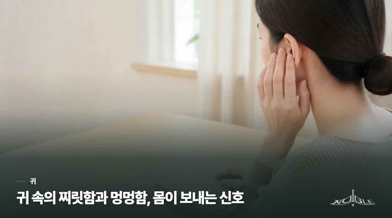 귀 속의 찌릿함과 멍멍함, 몸이 보내는 신호