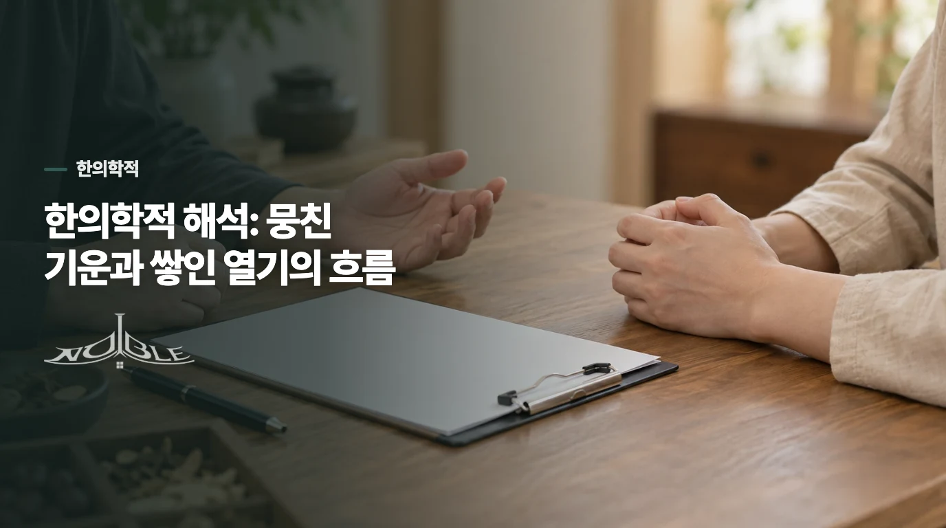 한의학적 해석: 뭉친 기운과 쌓인 열기의 흐름