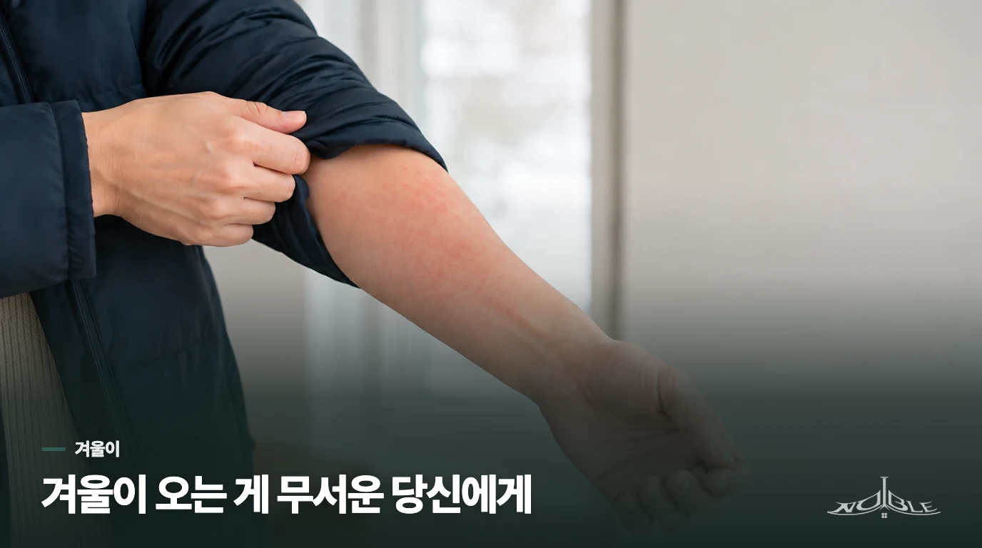 겨울이 오는 게 무서운 당신에게
